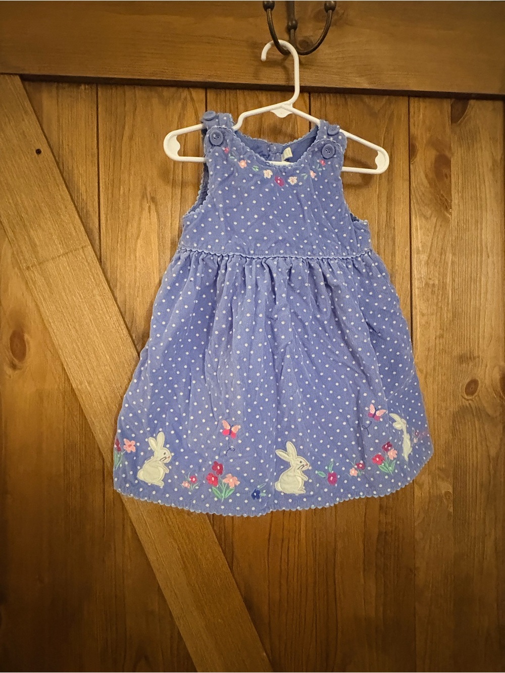 Blue Polka Dot Bunny Embroidered Dress